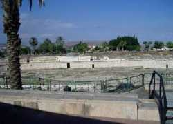 Shean
