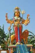 Shebe