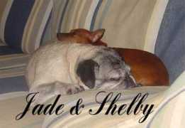 Sheby
