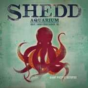 elissabraun.com Shedd