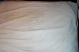 notgreat.com Sheets
