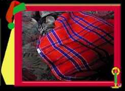 thecatco.com Sheg