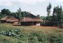 panoramio.com Sheiko