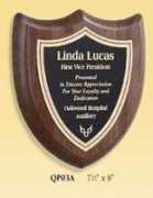 acrylicawardplaques.com Sheilda