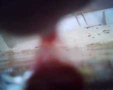 mr-lee-catcam.de Sheldom