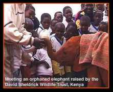 aeffonline.org Sheldrick