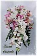 fleurrouge.com Shelise