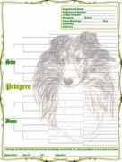thepooka.com Sheltie
