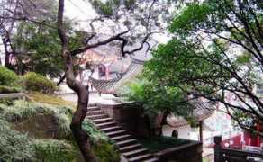 Shenzhi