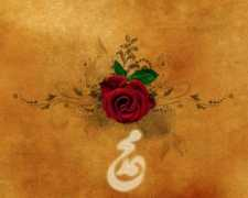Sheqil