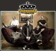 sheronda.de Sheronda