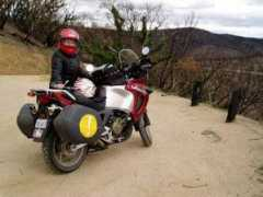 librariesalive.com.au Sherrey