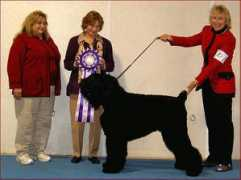 black-russian-terrier.ca Sherwal