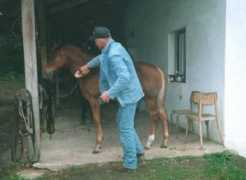nordranc.cz Shesy