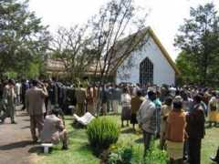 palmu.st Shetta