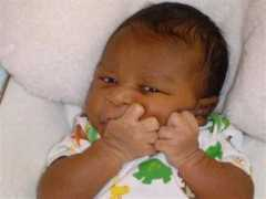 familytreenewsletter.net Shevonda