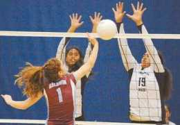 mauinews.com Sheylin