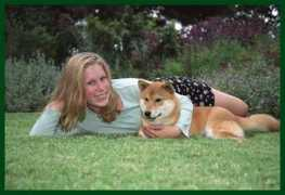 Shibas