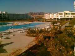 Shiekh