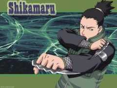 Shikam
