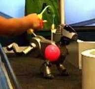 robope.com Shikko