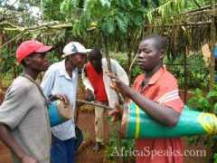 Shikunga