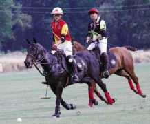 sports.inquirer.net Shilai