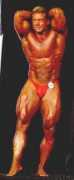 bodybuildingreviews.net Shilbert