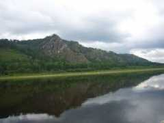 wwf.ru Shilki