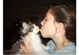 catchannel.com Shiloe