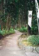 Shimadu