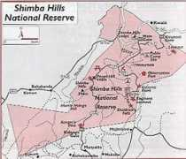 Shimba