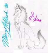 Shimo