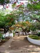 divesitedirectory.com Shimoni