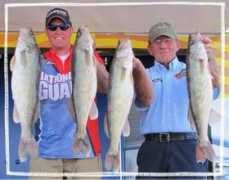 walleyecentral.com Shimota