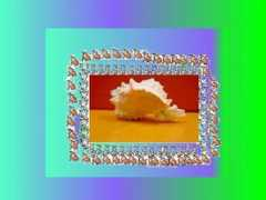 projects.cbe.ab.ca Shinal