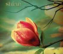 blogher.com Shinel