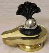 liveindia.com Shinling