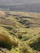 geograph.org.uk Shinnel