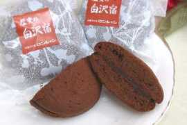 happyweblife.fc2web.com Shirasawa