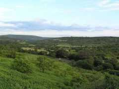 nativeplanet.com Shirgaonkar