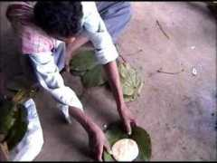 article.wn.com Shirishkumar