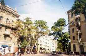 filippalenka.narod.ru Shirsh