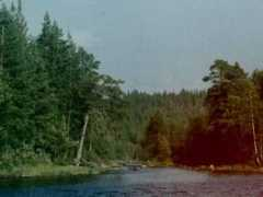 reki.anabar.ru Shivera