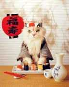 myanimelist.net Shizel