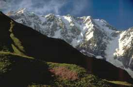Shkara