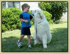 schneebarpyrs.com Shnee