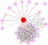 beat.doebe.li Shneiderman