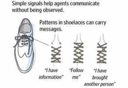 neatorama.com Shoelace