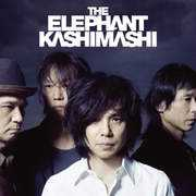 elephantkashimashi.com Shokaib